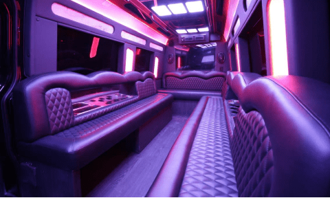 Nashville 14 Passenger Sprinter Bus Interior